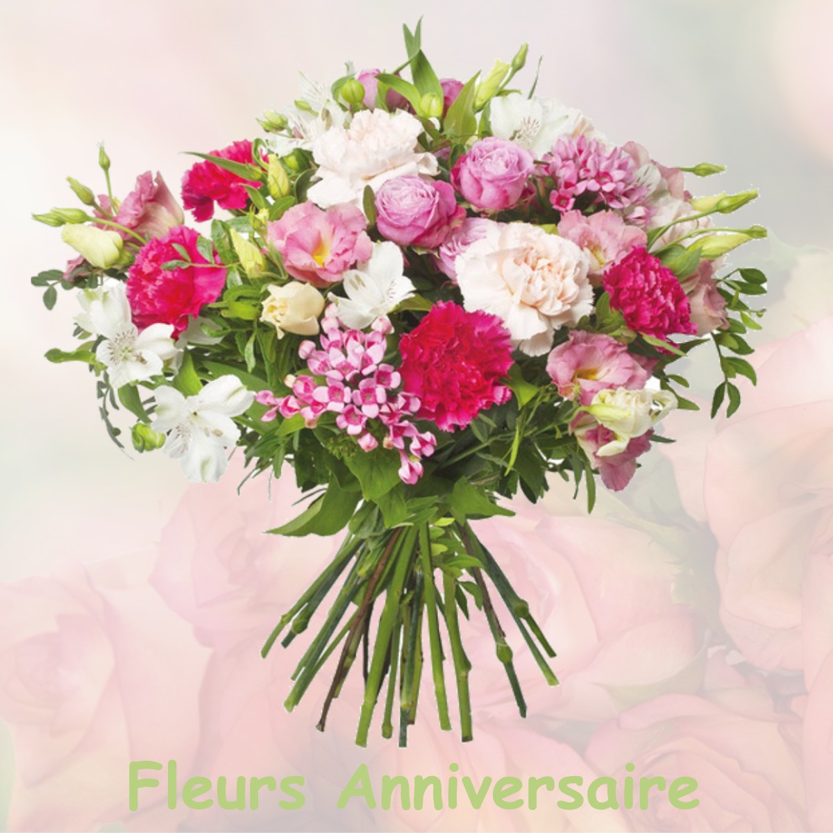 fleurs anniversaire AUX-AUSSAT